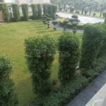 Fully furnished 3BHk Flat available for rent in Twin Towers, Orchid Greens, Firozabad (3)