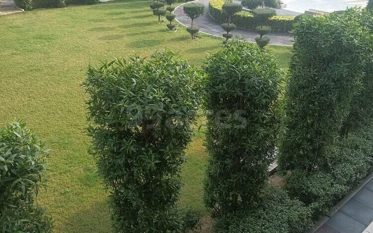 Fully furnished 3BHk Flat available for rent in Twin Towers, Orchid Greens, Firozabad (3)