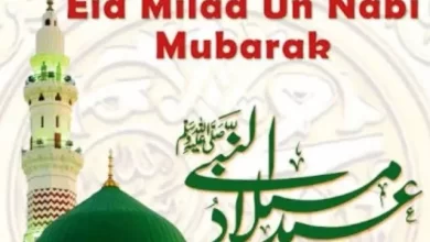 Festivals Eid e Milad un Nabi